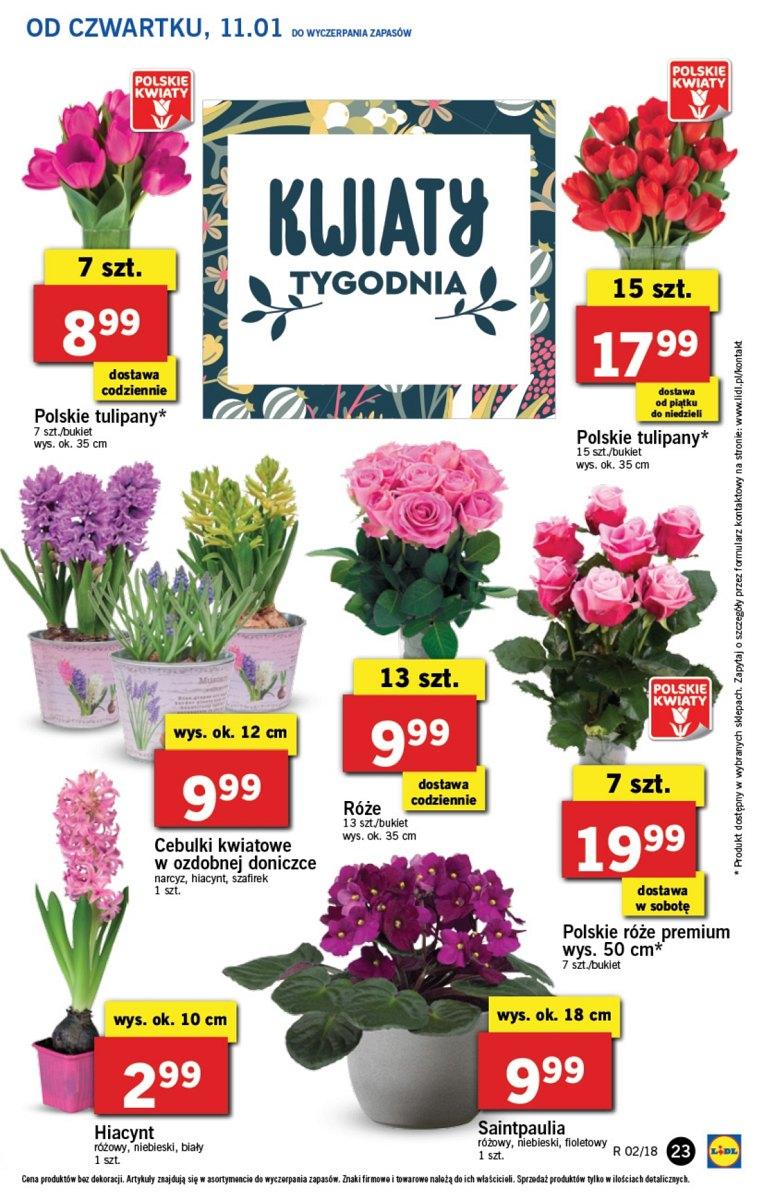 Gazetka promocyjna Lidl do 14/01/2018 str.23