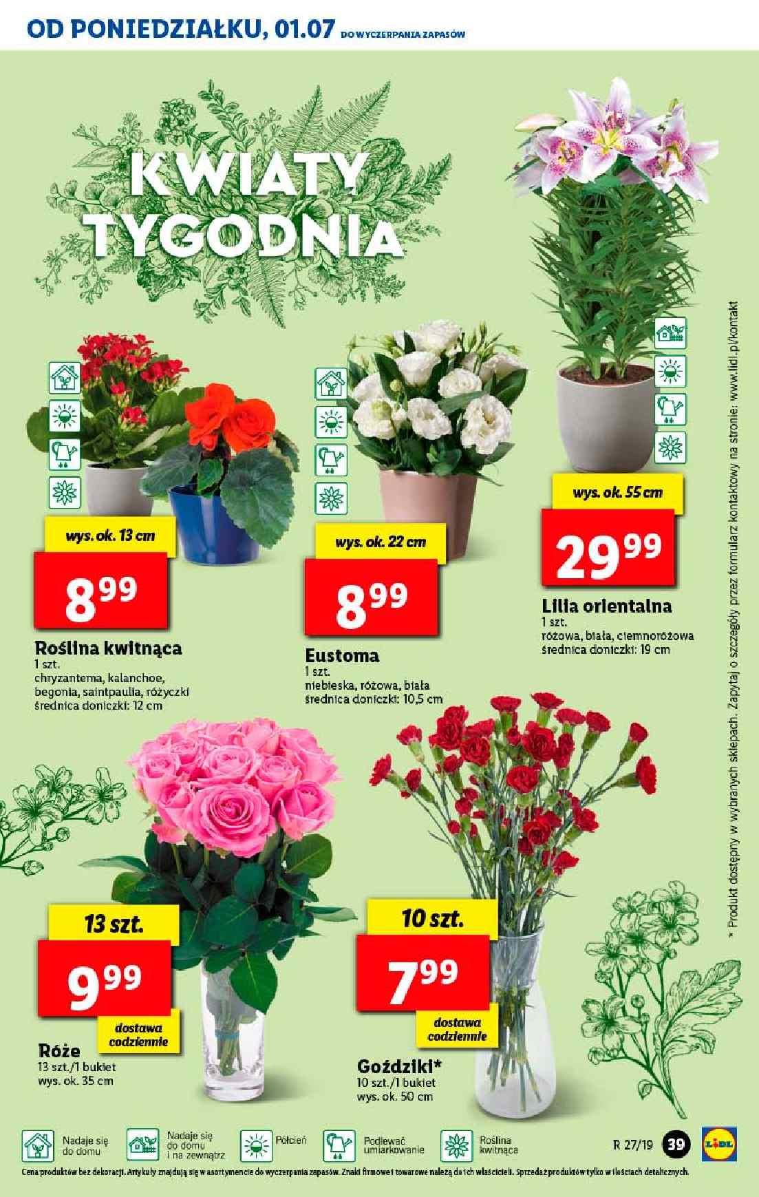 Gazetka promocyjna Lidl do 03/07/2019 str.39