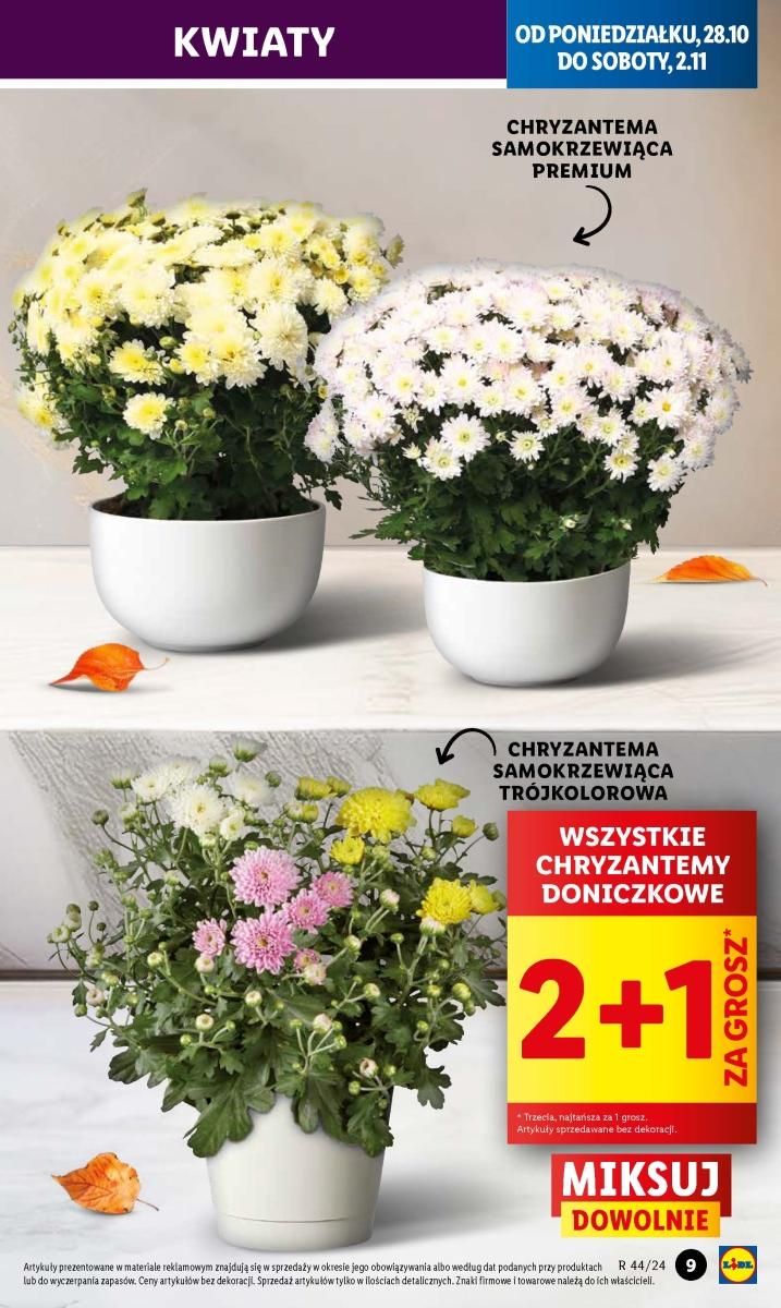 Gazetka promocyjna Lidl do 30/10/2024 str.9