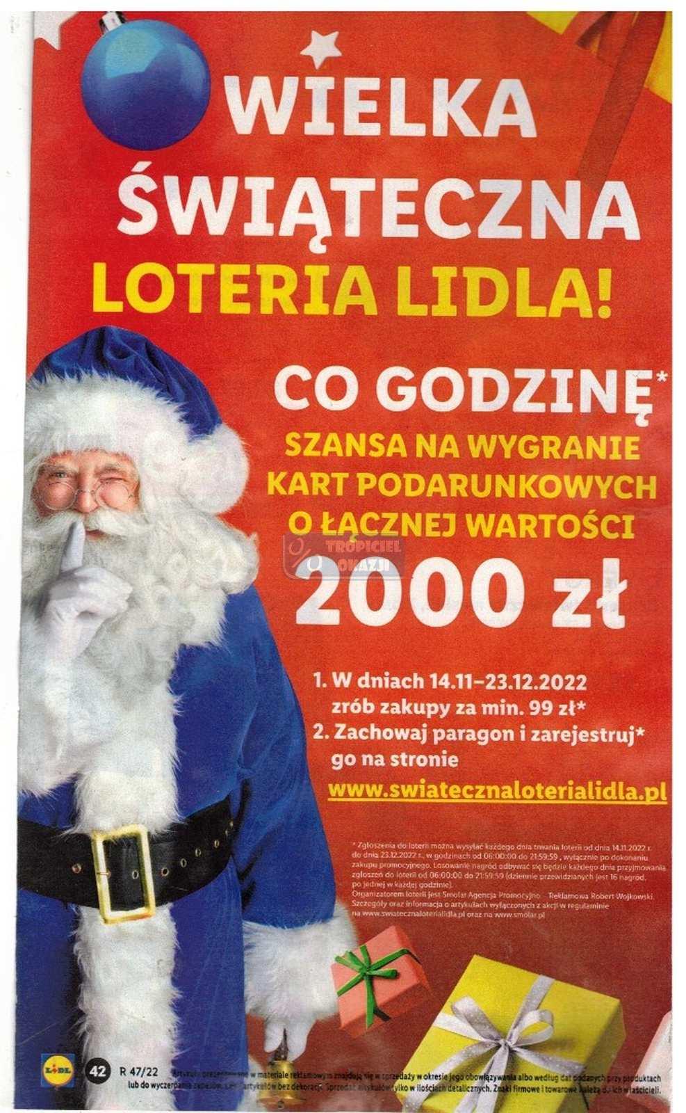 Gazetka promocyjna Lidl do 26/11/2022 str.42