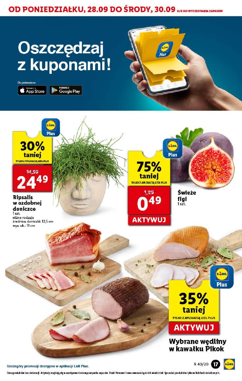 Gazetka promocyjna Lidl do 30/09/2020 str.17