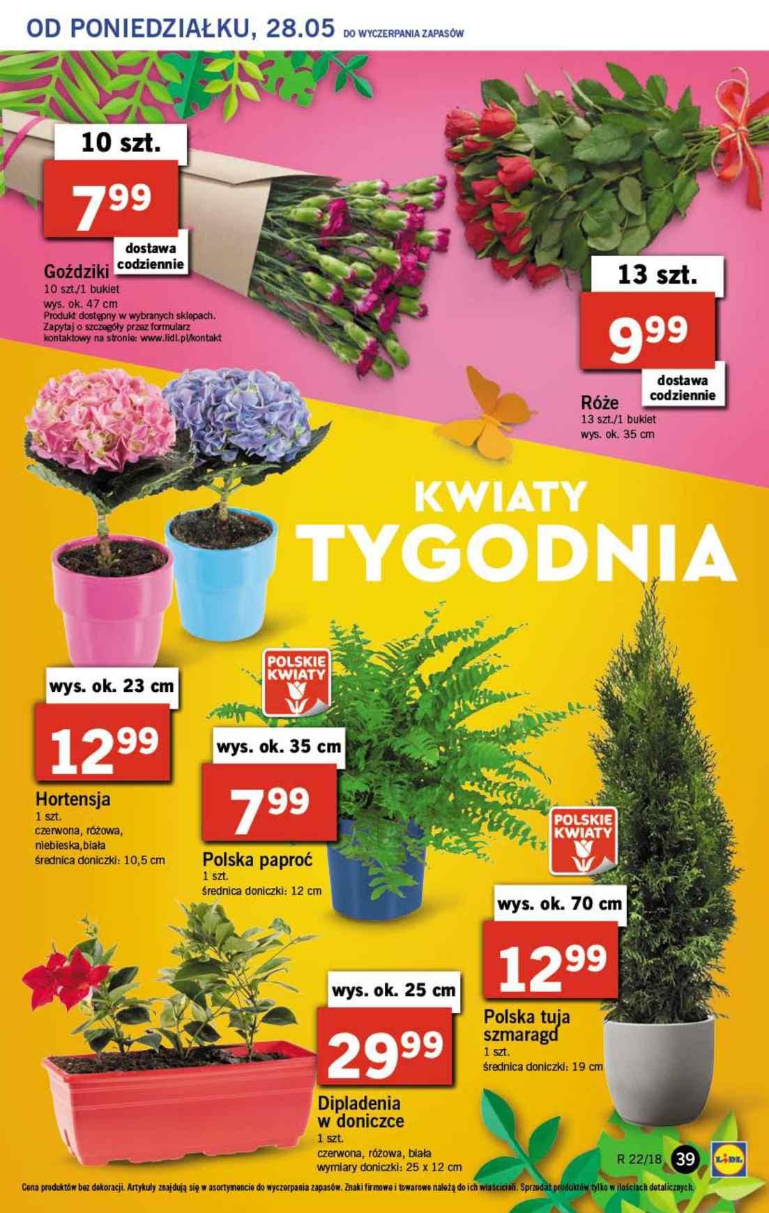 Gazetka promocyjna Lidl do 30/05/2018 str.39