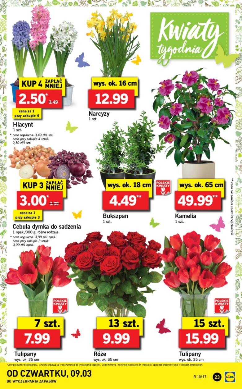 Gazetka promocyjna Lidl do 12/03/2017 str.23