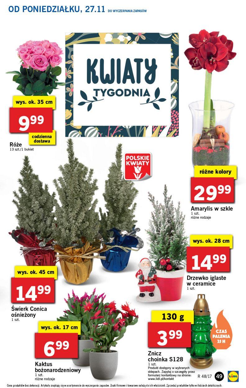 Gazetka promocyjna Lidl do 29/11/2017 str.49