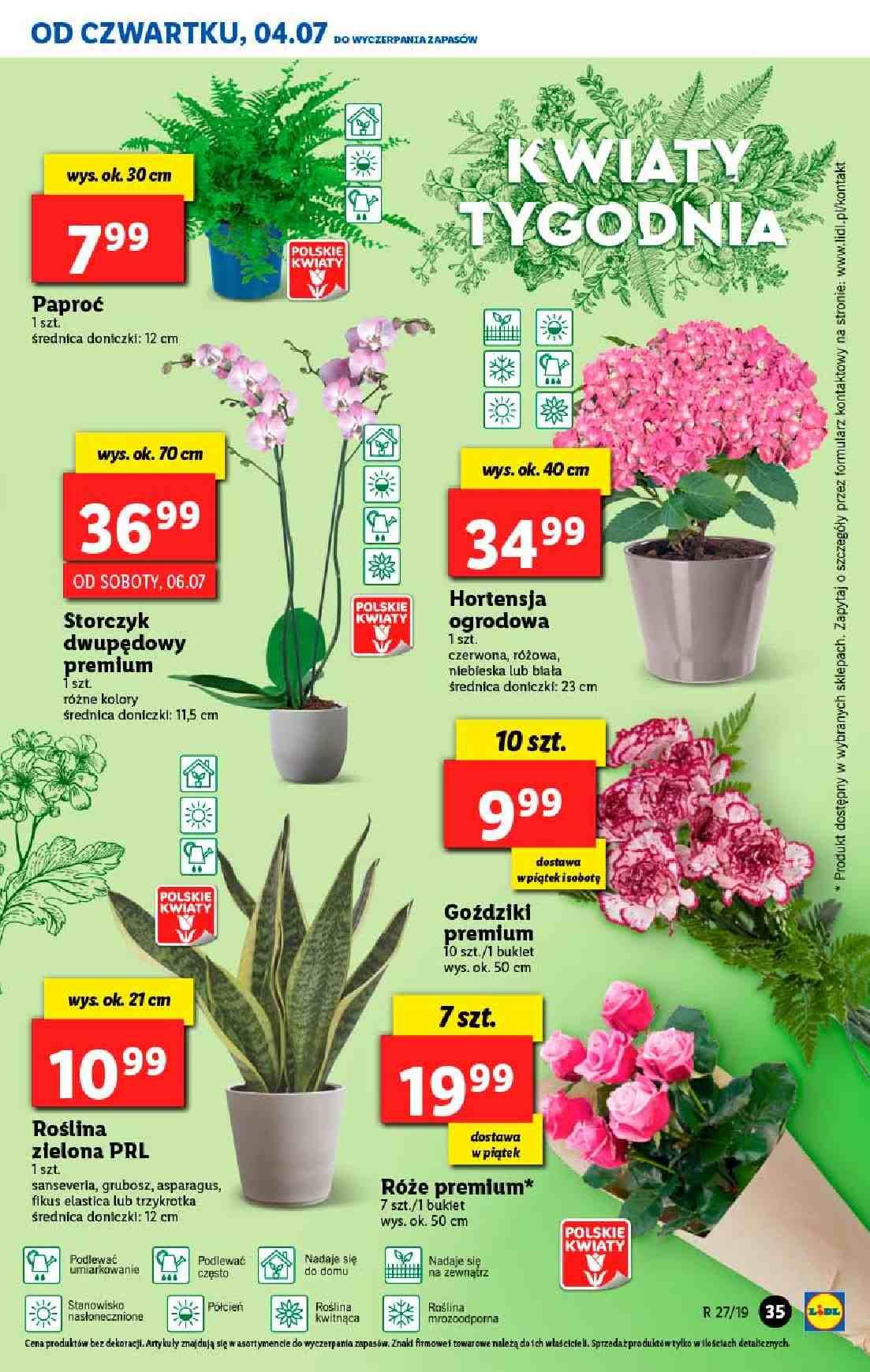 Gazetka promocyjna Lidl do 07/07/2019 str.35