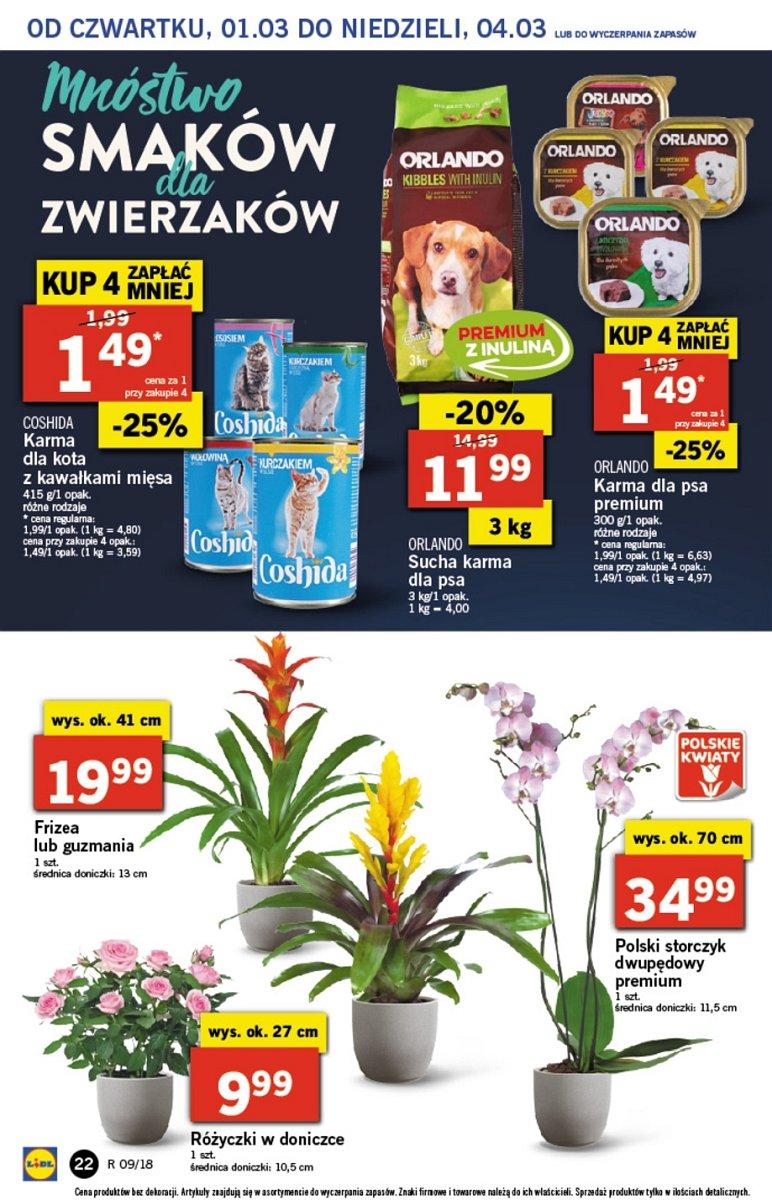 Gazetka promocyjna Lidl do 04/03/2018 str.22