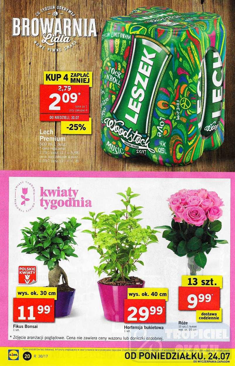 Gazetka promocyjna Lidl do 26/07/2017 str.20