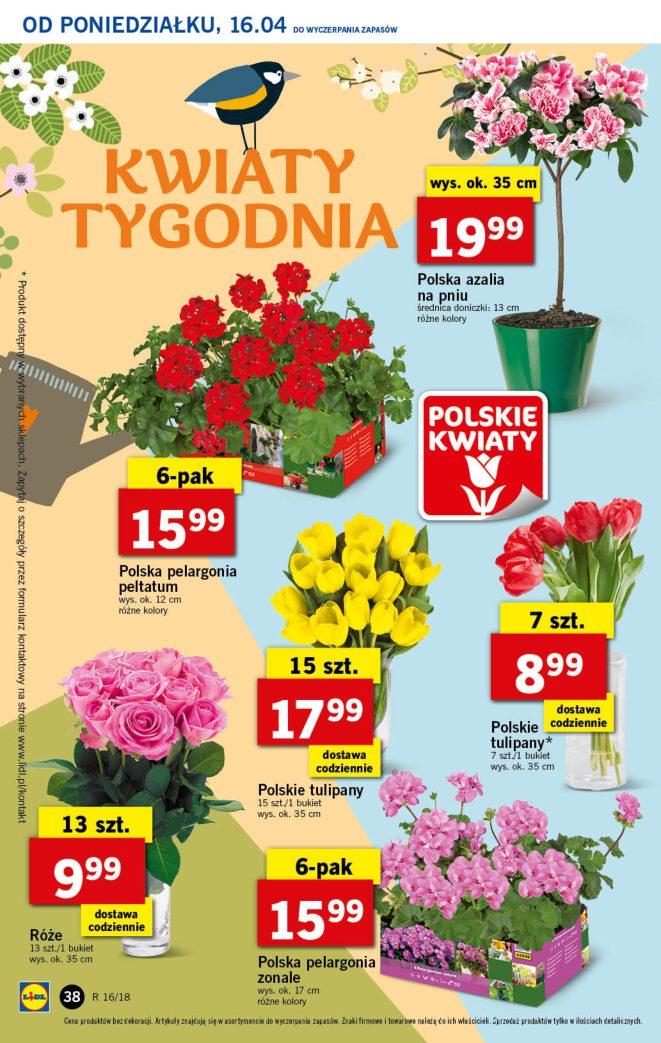 Gazetka promocyjna Lidl do 18/04/2018 str.31