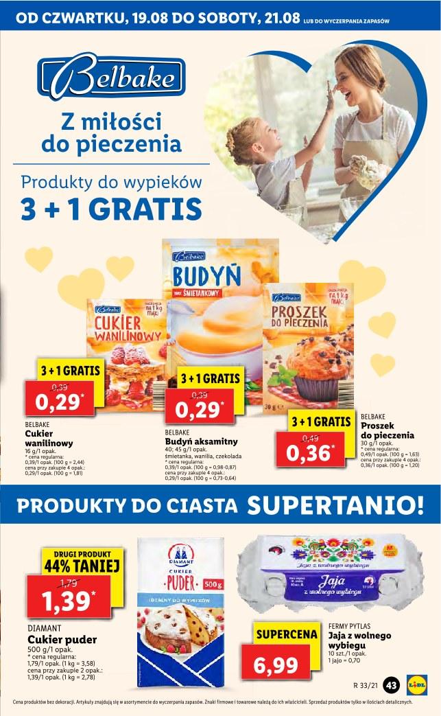 Gazetka promocyjna Lidl do 21/08/2021 str.43