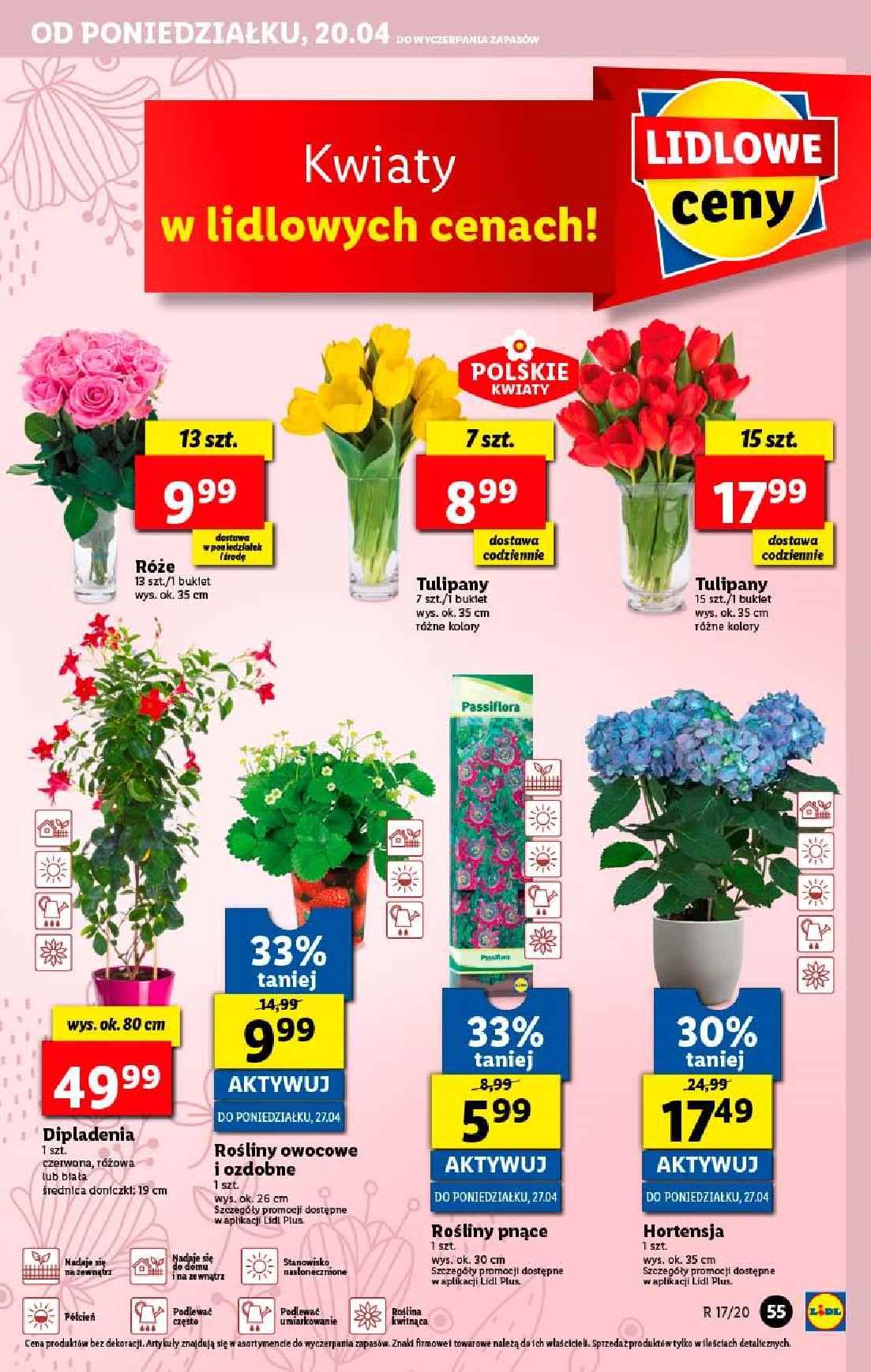 Gazetka promocyjna Lidl do 22/04/2020 str.55