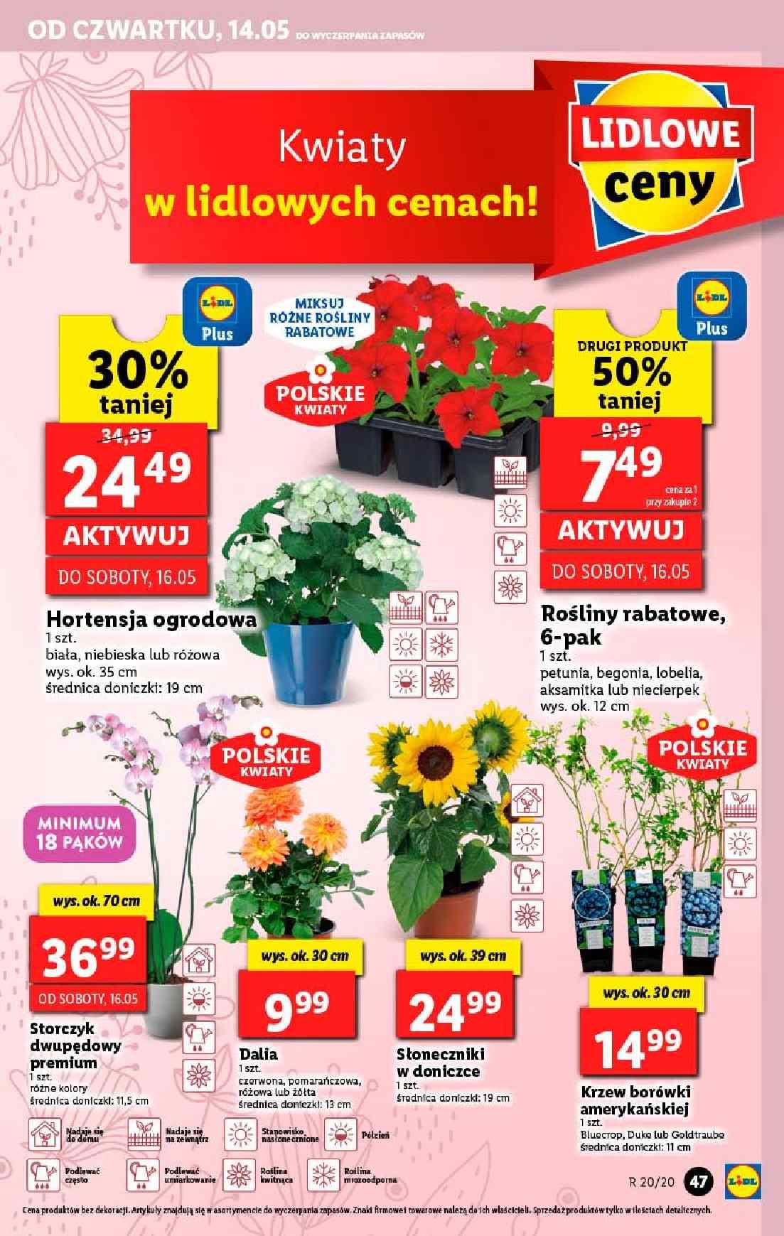 Gazetka promocyjna Lidl do 16/05/2020 str.47