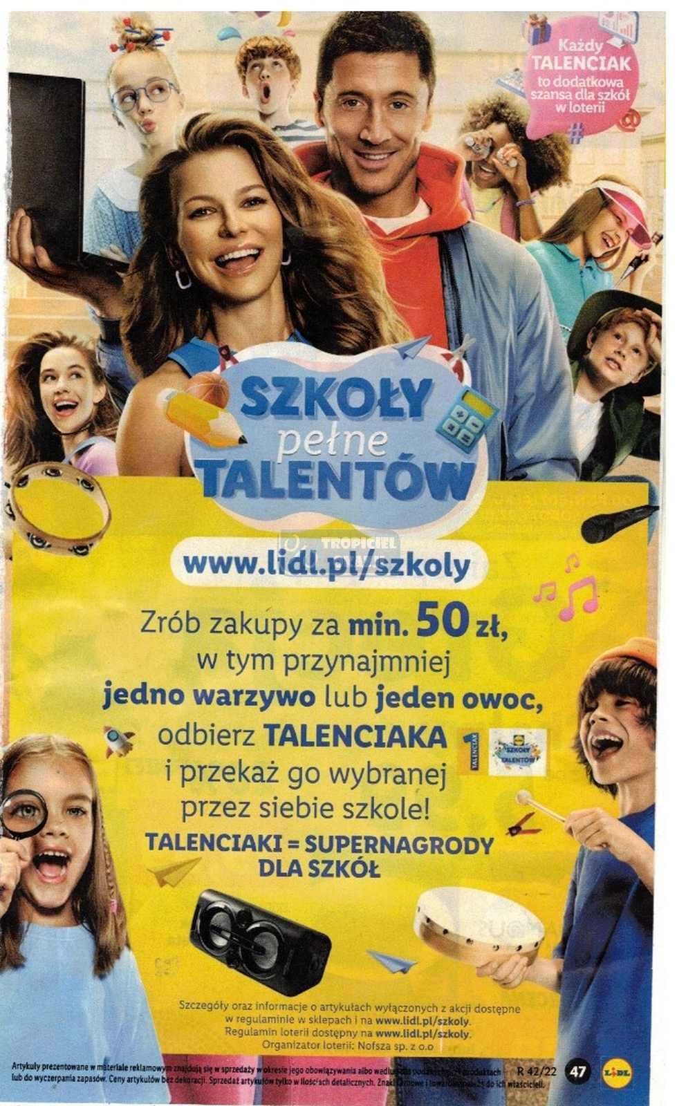 Gazetka promocyjna Lidl do 22/10/2022 str.47