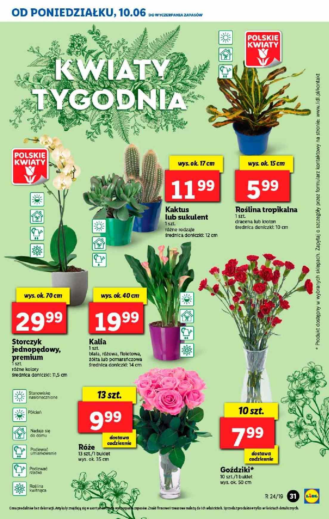 Gazetka promocyjna Lidl do 12/06/2019 str.31