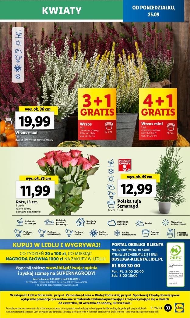 Gazetka promocyjna Lidl do 27/09/2023 str.43