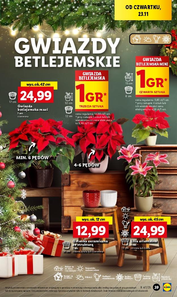 Gazetka promocyjna Lidl do 25/11/2023 str.55