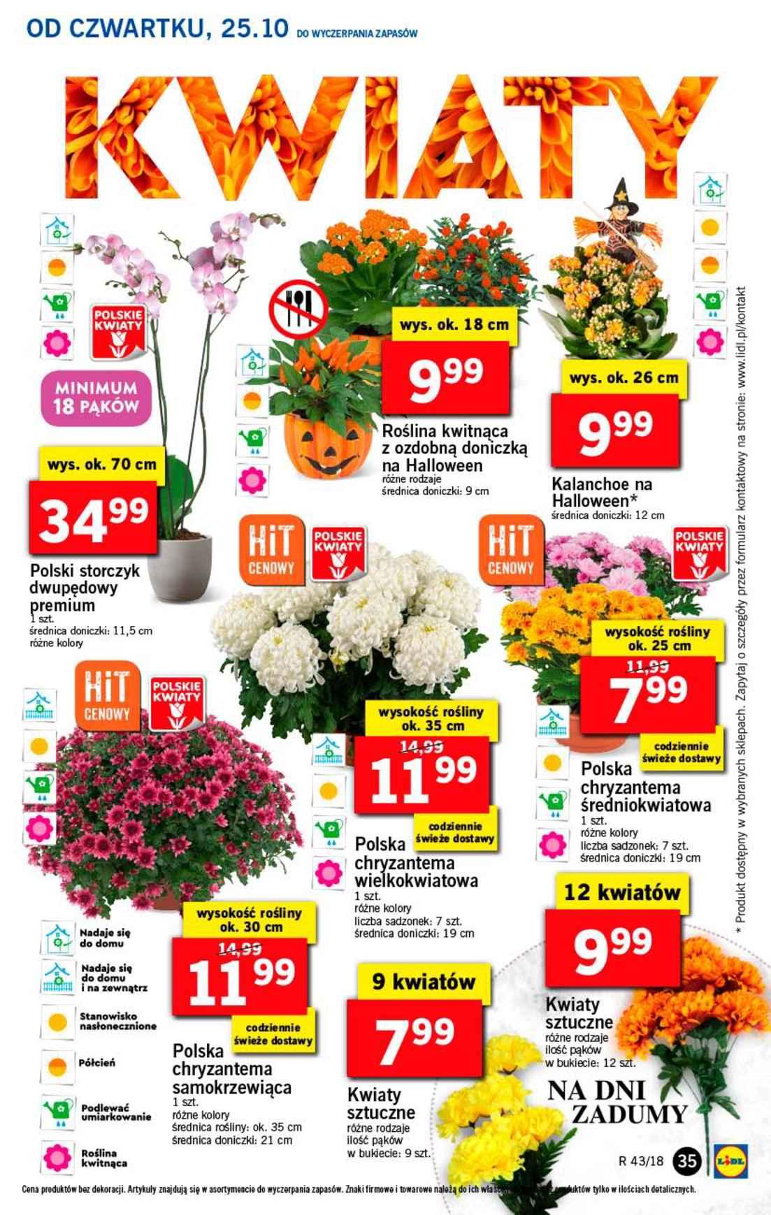 Gazetka promocyjna Lidl do 28/10/2018 str.35