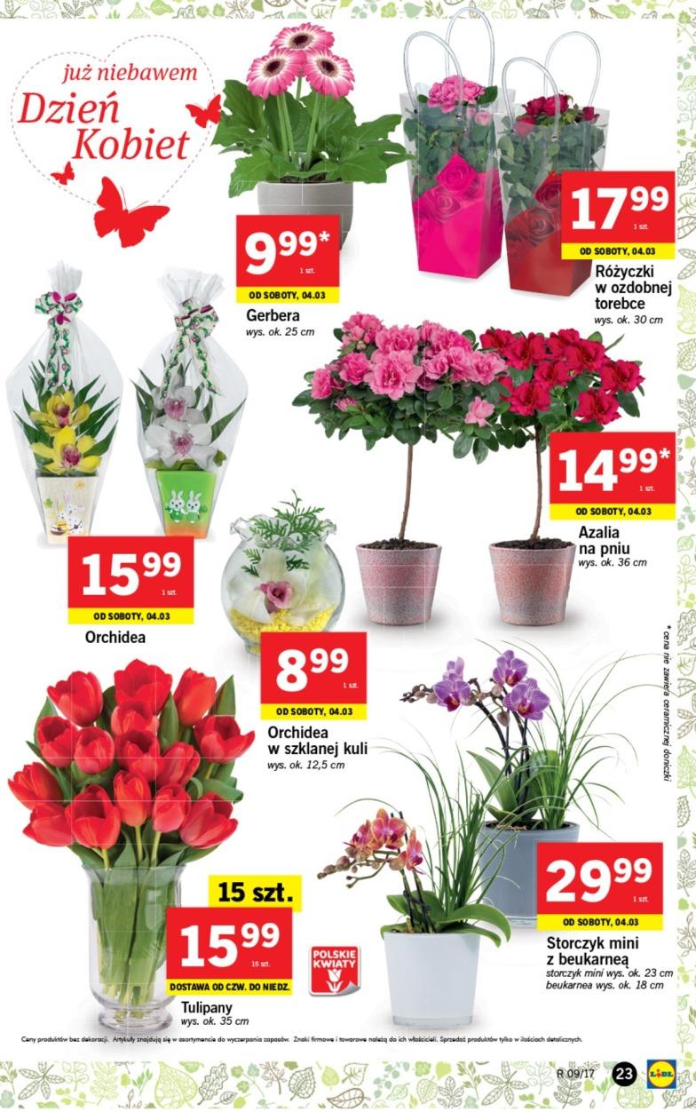 Gazetka promocyjna Lidl do 05/03/2017 str.23