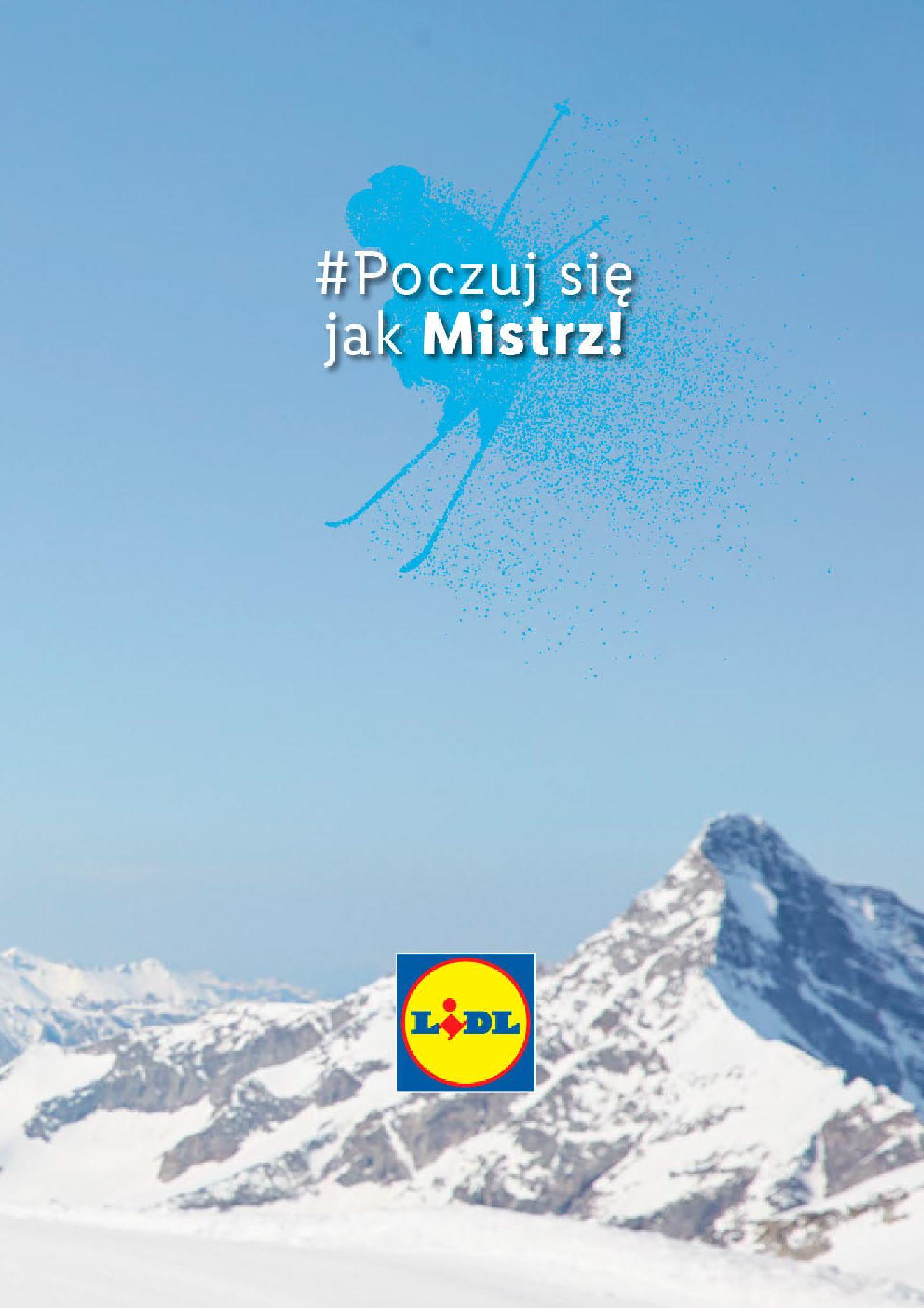 Gazetka promocyjna Lidl do 31/12/2019 str.42