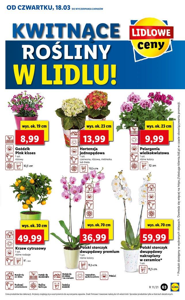 Gazetka promocyjna Lidl do 20/03/2021 str.63