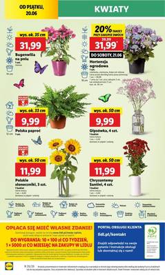 Lidl od piątku