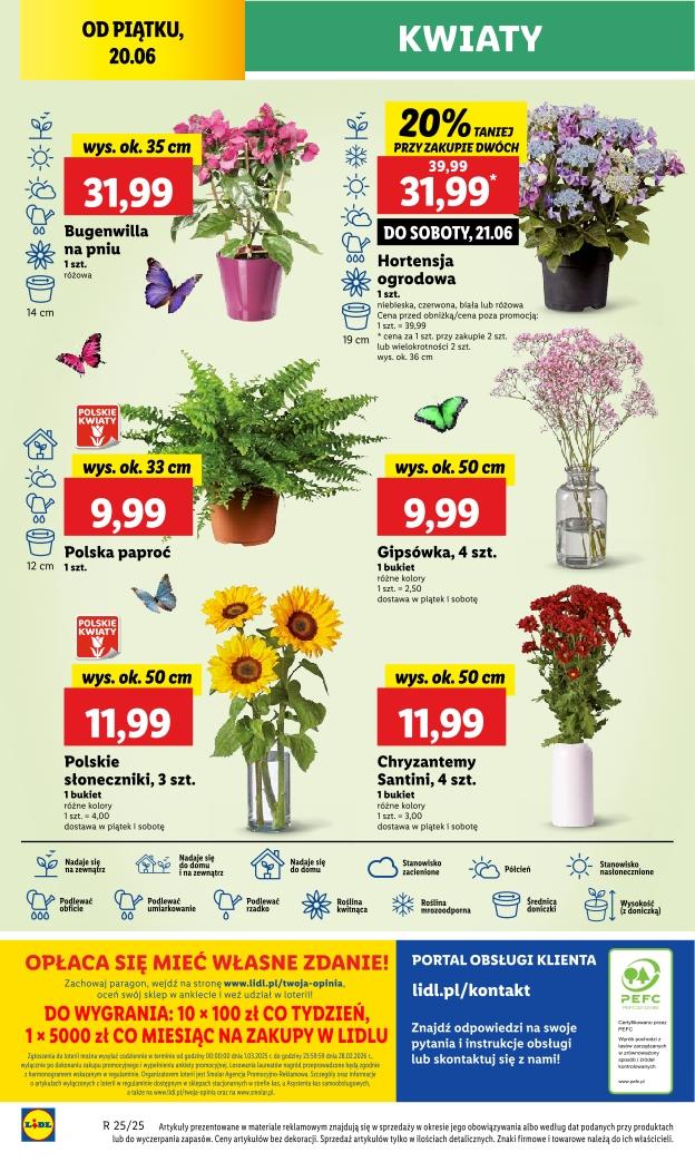 Gazetka promocyjna Lidl do 21/06/2025 str.50