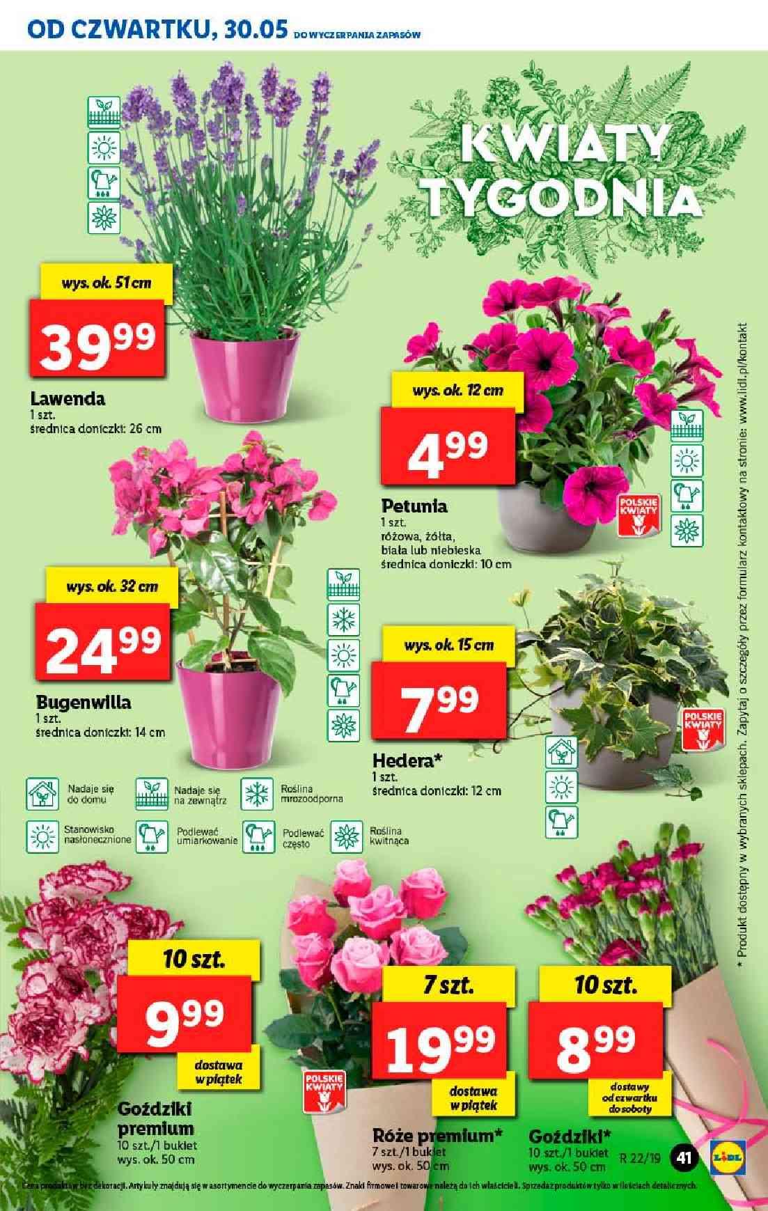 Gazetka promocyjna Lidl do 02/06/2019 str.41