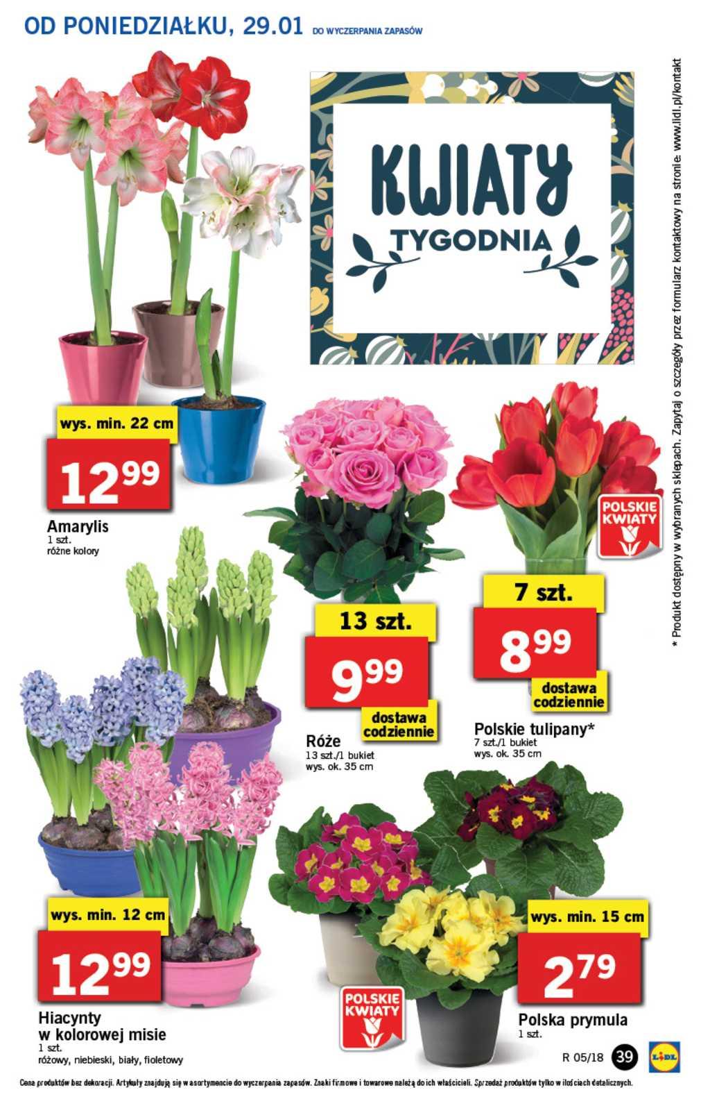 Gazetka promocyjna Lidl do 31/01/2018 str.39