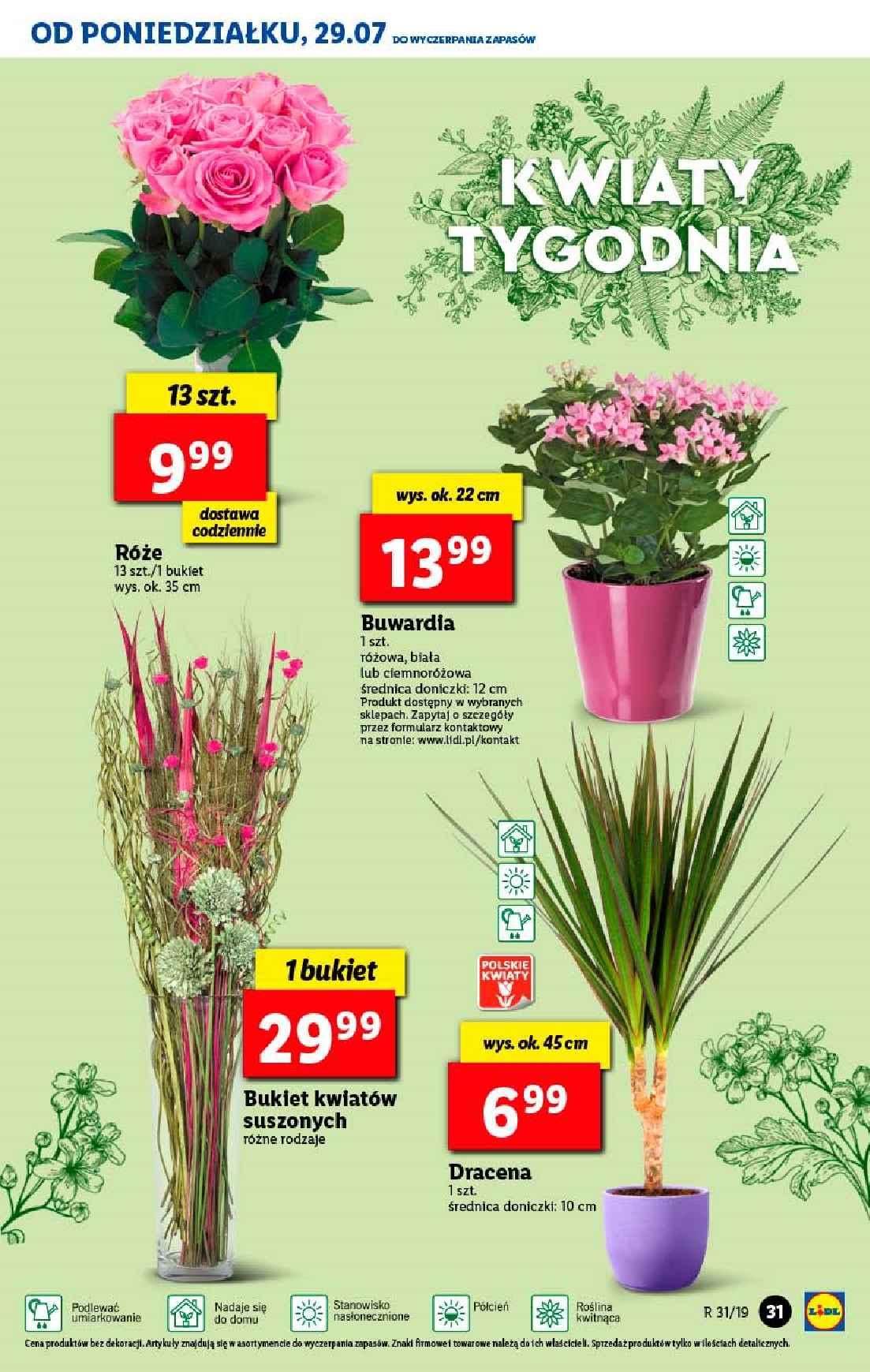 Gazetka promocyjna Lidl do 31/07/2019 str.31