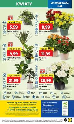 Lidl od poniedziałku