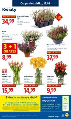Lidl od poniedziałku