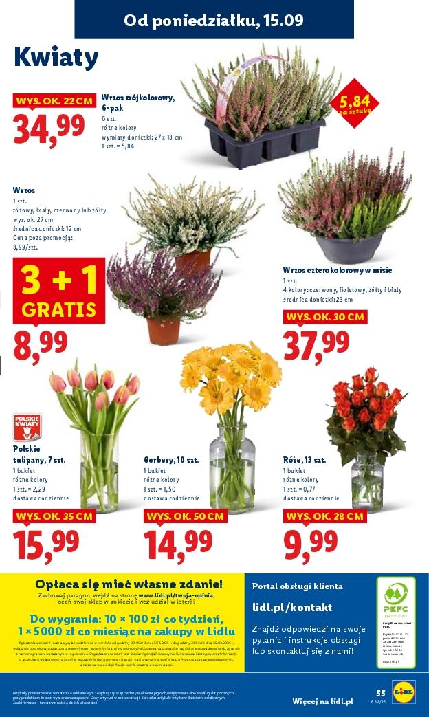 Gazetka promocyjna Lidl do 17/09/2025 str.61