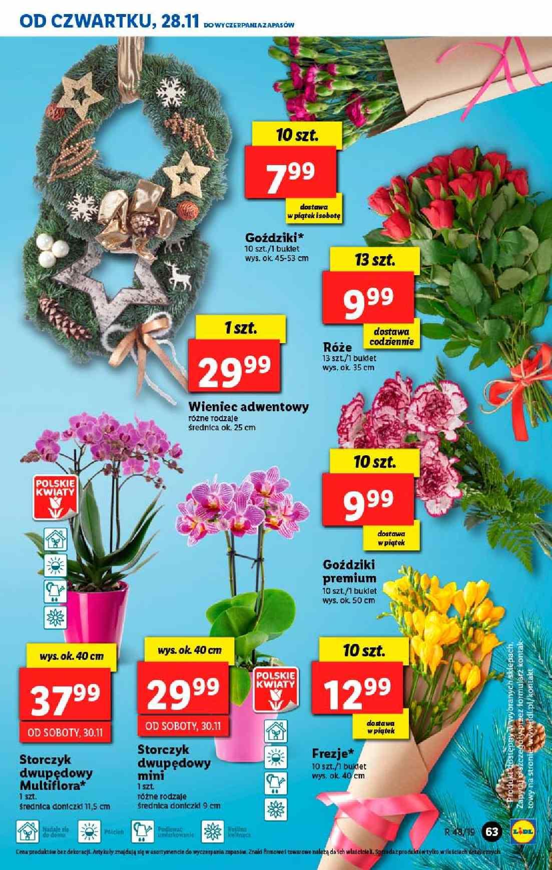 Gazetka promocyjna Lidl do 30/11/2019 str.63