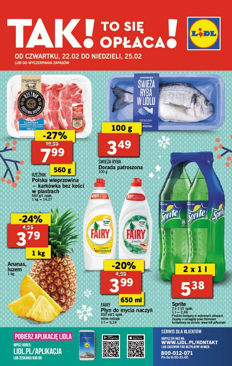 Gazetka promocyjna Lidl do 25/02/2018 str.24