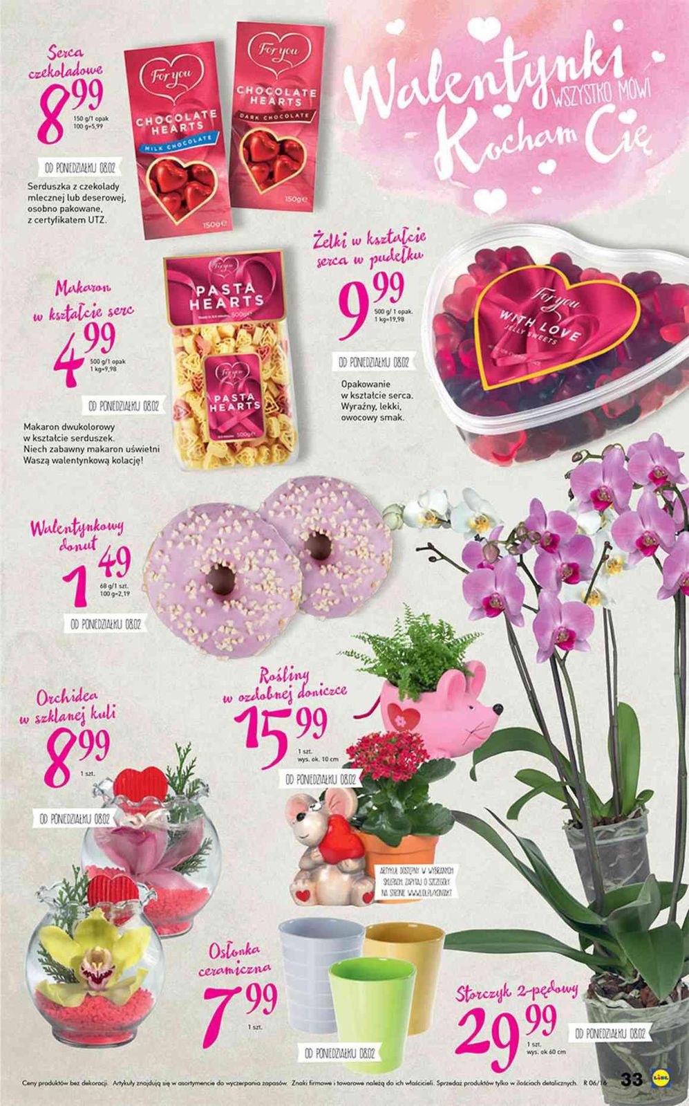 Gazetka promocyjna Lidl do 14/02/2016 str.33