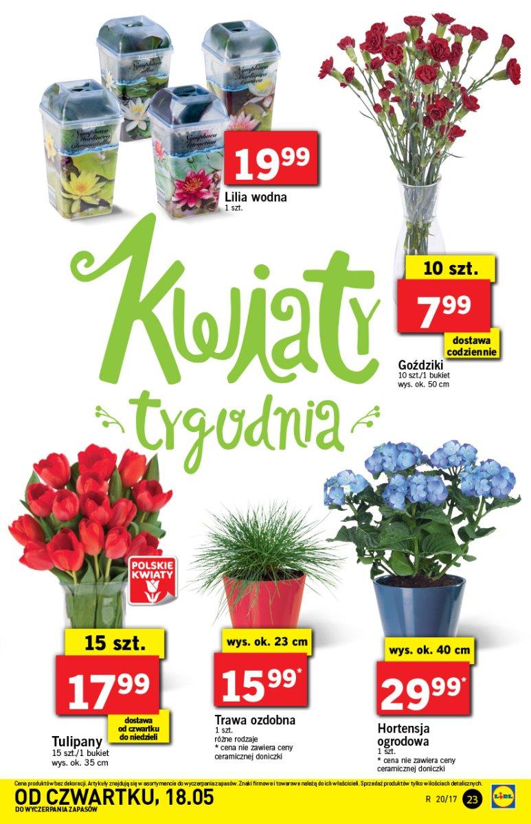 Gazetka promocyjna Lidl do 21/05/2017 str.23