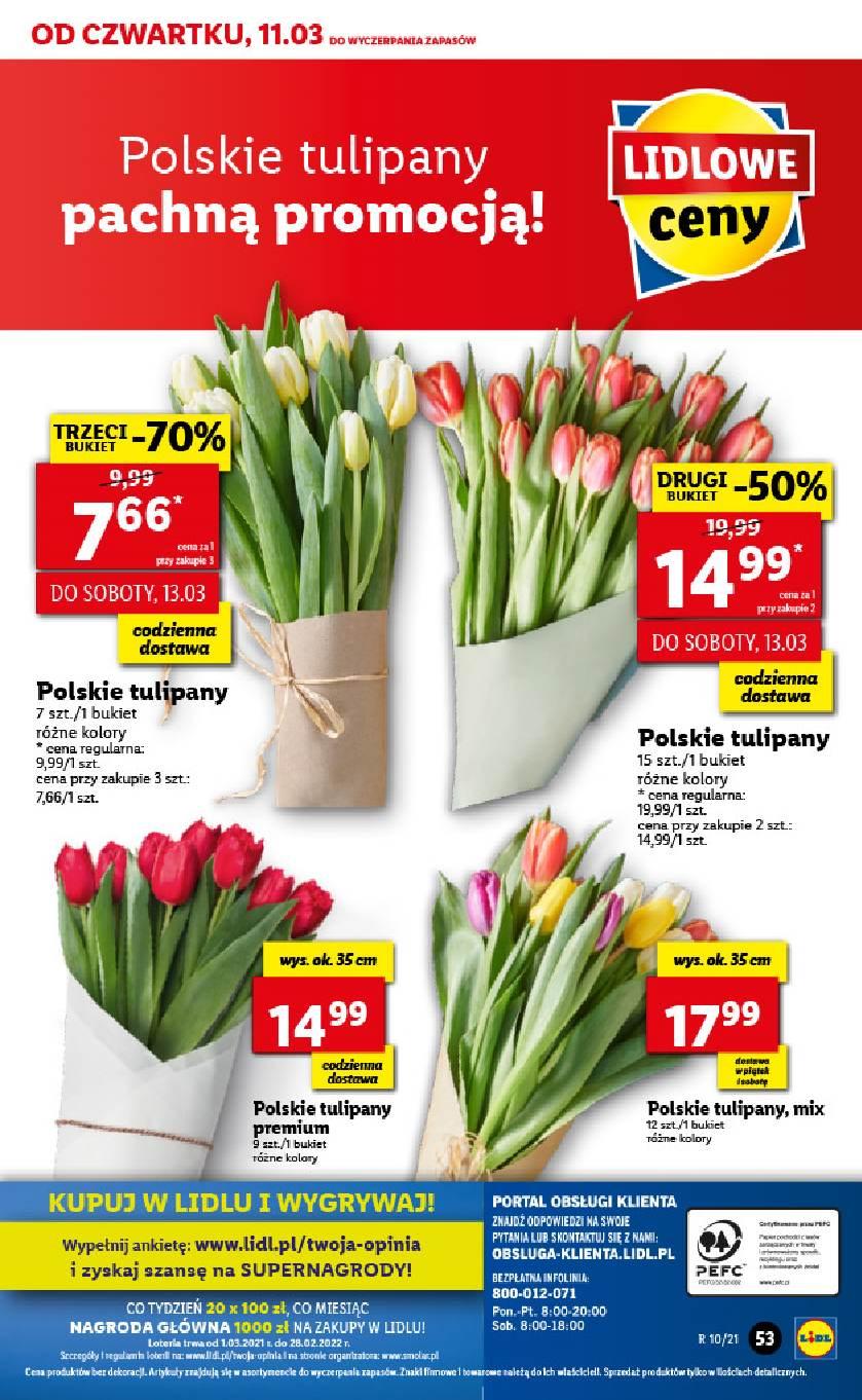 Gazetka promocyjna Lidl do 13/03/2021 str.53