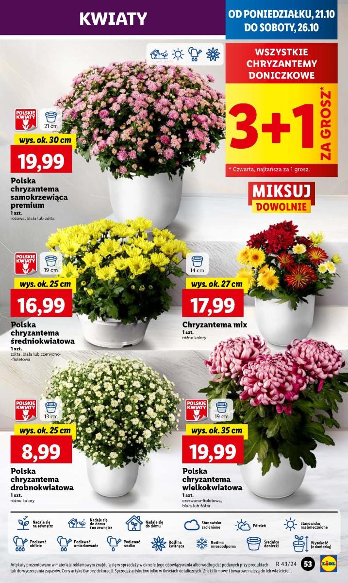 Gazetka promocyjna Lidl do 23/10/2024 str.59