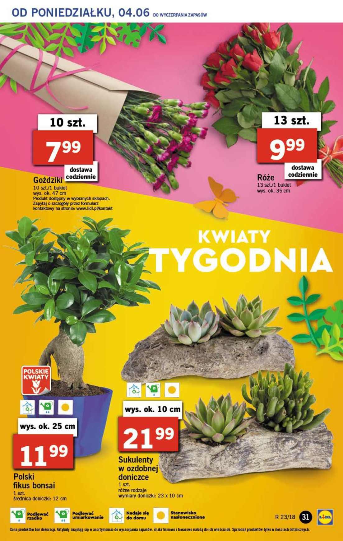 Gazetka promocyjna Lidl do 06/06/2018 str.31