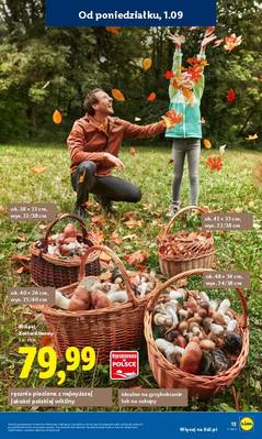 Katalog Lidl