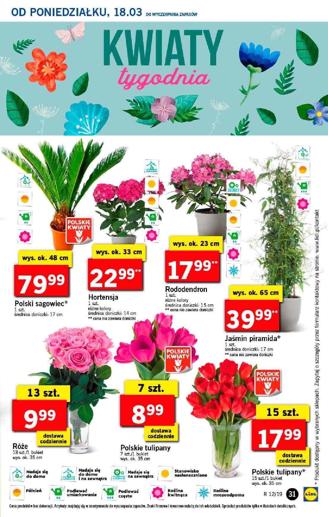 Gazetka promocyjna Lidl do 20/03/2019 str.31