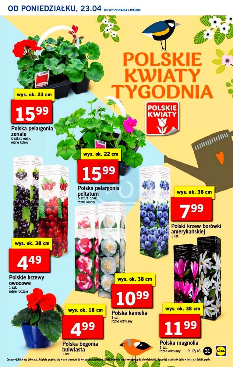 Gazetka promocyjna Lidl do 25/04/2018 str.31