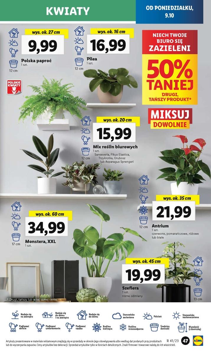 Gazetka promocyjna Lidl do 11/10/2023 str.51