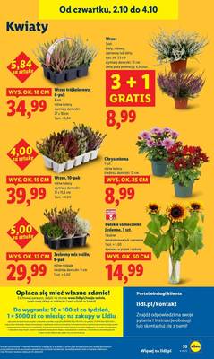 Lidl od czwartku