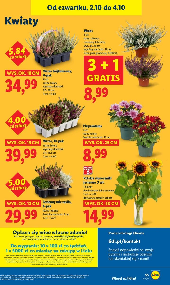Gazetka promocyjna Lidl do 04/10/2025 str.59