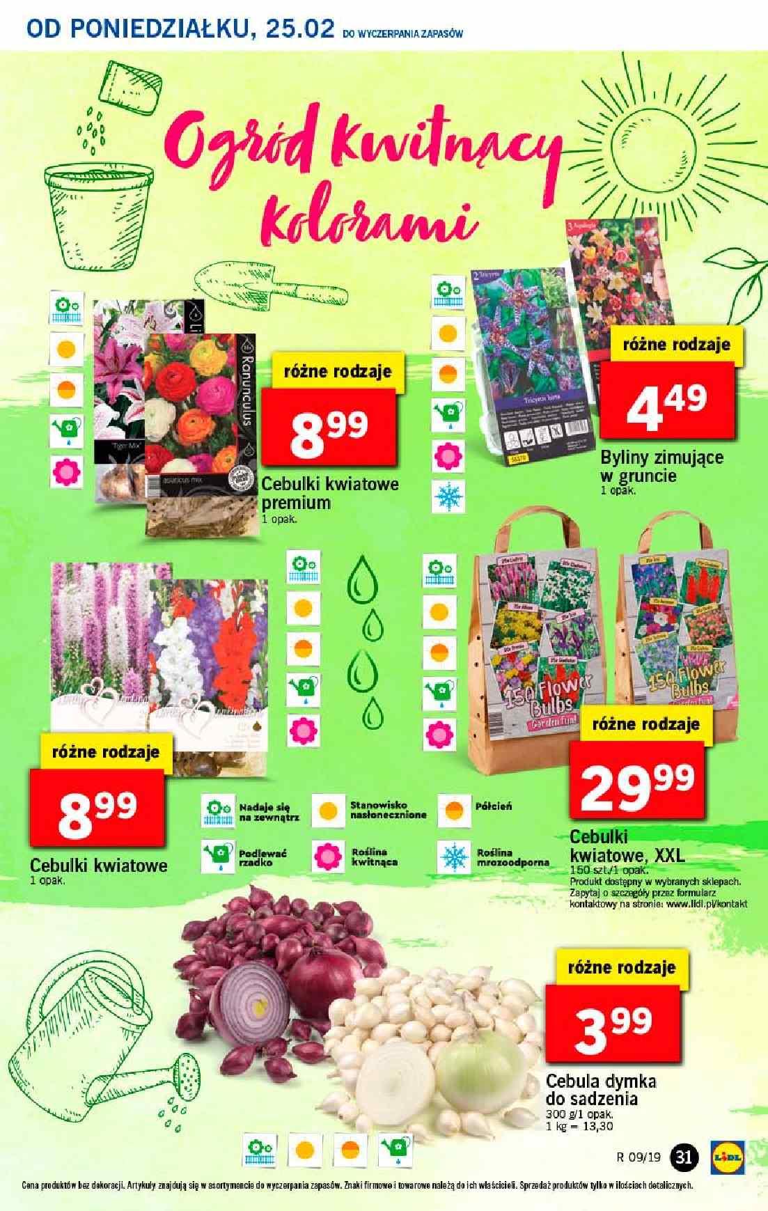 Gazetka promocyjna Lidl do 27/02/2019 str.31