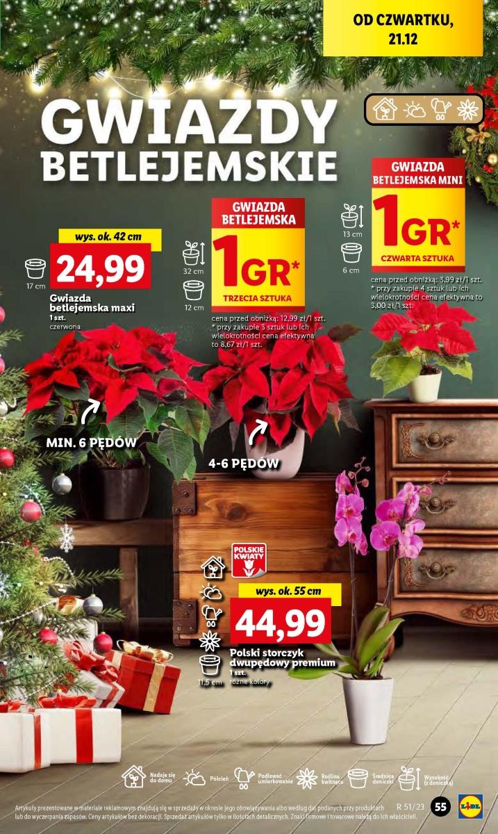 Gazetka promocyjna Lidl do 23/12/2023 str.59