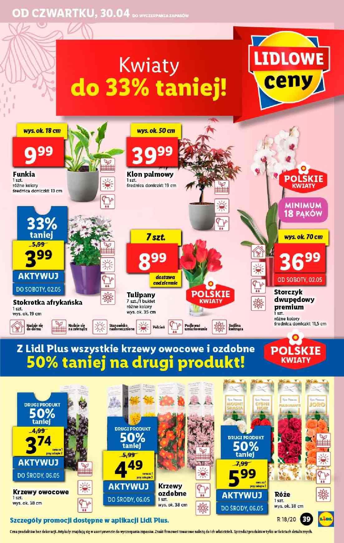 Gazetka promocyjna Lidl do 02/05/2020 str.39