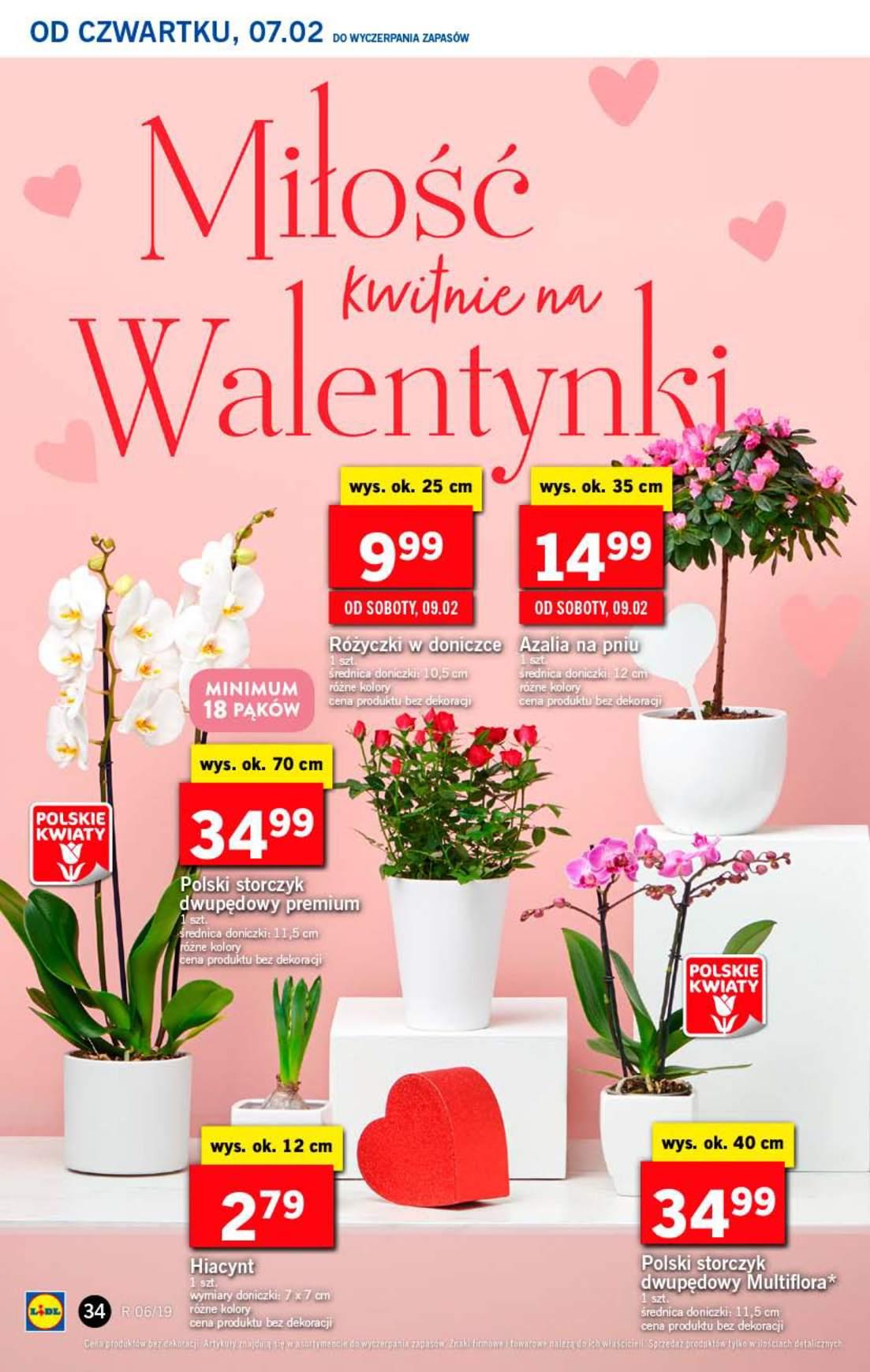 Gazetka promocyjna Lidl do 09/02/2019 str.34