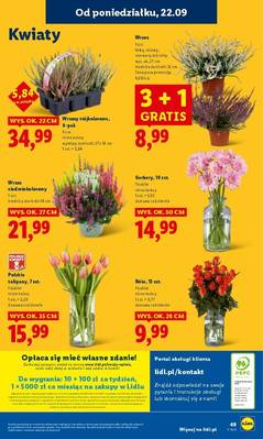 Lidl od poniedziałku