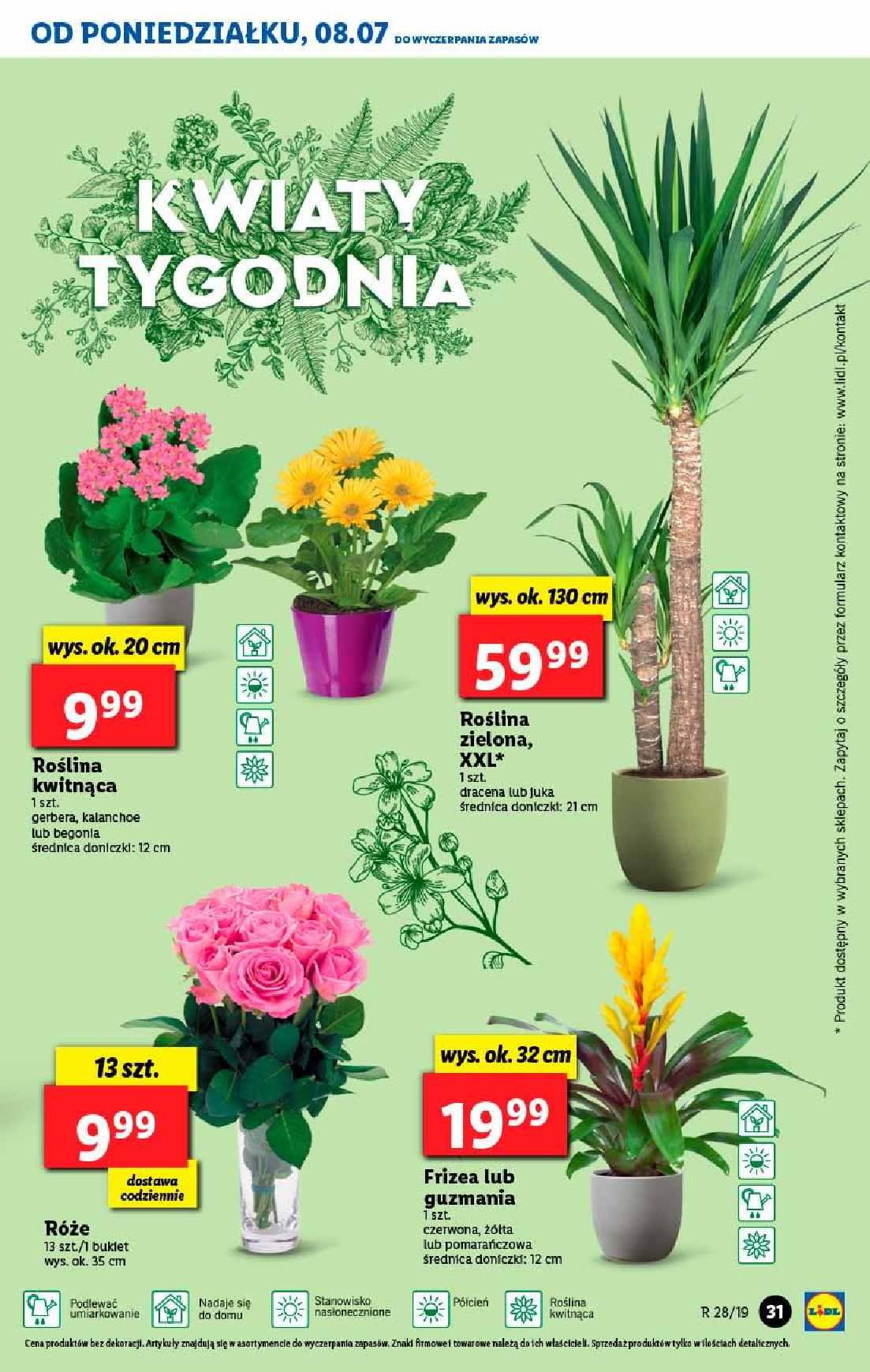 Gazetka promocyjna Lidl do 10/07/2019 str.31